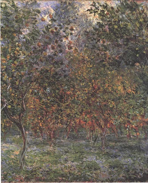 The Lemon Grove in Bordighera